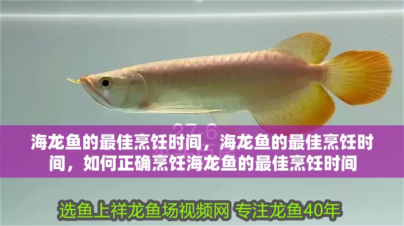 海龍魚的最佳烹飪時間，海龍魚的最佳烹飪時間，如何正確烹飪海龍魚的最佳烹飪時間