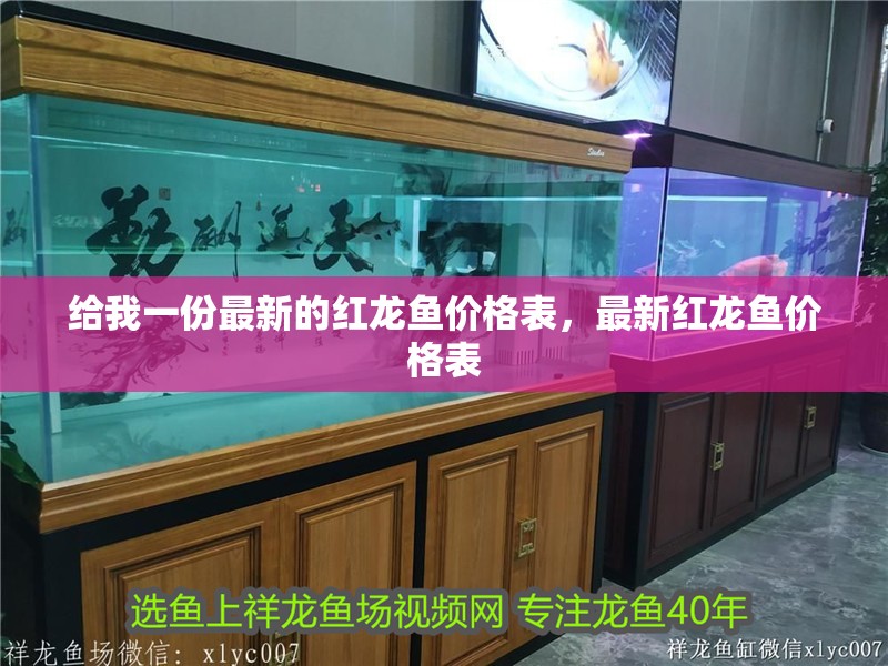 給我一份最新的紅龍魚價格表，最新紅龍魚價格表