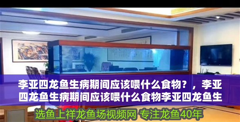 李亞四龍魚生病期間應(yīng)該喂什么食物？，李亞四龍魚生病期間應(yīng)該喂什么食物李亞四龍魚生病期間喂什么