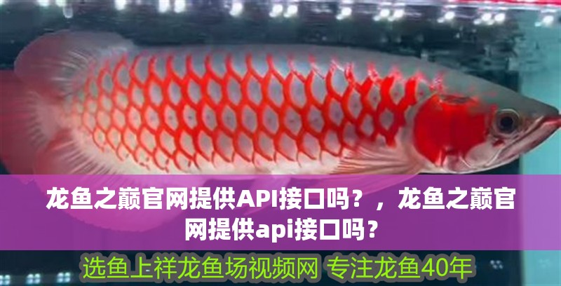 龍魚之巔官網提供API接口嗎？，龍魚之巔官網提供api接口嗎？