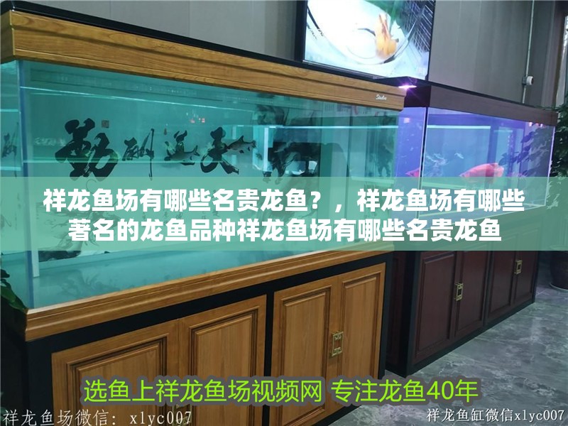 祥龍魚(yú)場(chǎng)有哪些名貴龍魚(yú)？，祥龍魚(yú)場(chǎng)有哪些著名的龍魚(yú)品種祥龍魚(yú)場(chǎng)有哪些名貴龍魚(yú)