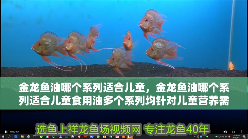 金龍魚油哪個系列適合兒童，金龍魚油哪個系列適合兒童食用油多個系列均針對兒童營養需求