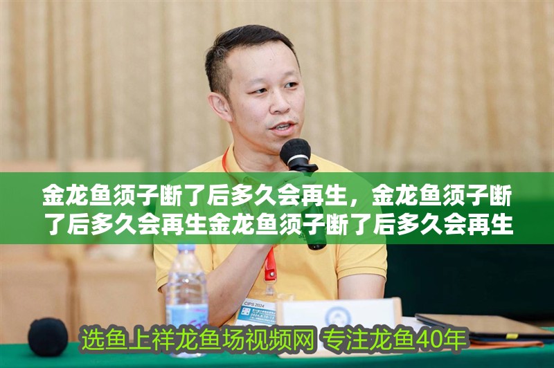 金龍魚須子斷了后多久會(huì)再生，金龍魚須子斷了后多久會(huì)再生金龍魚須子斷了后多久會(huì)再生