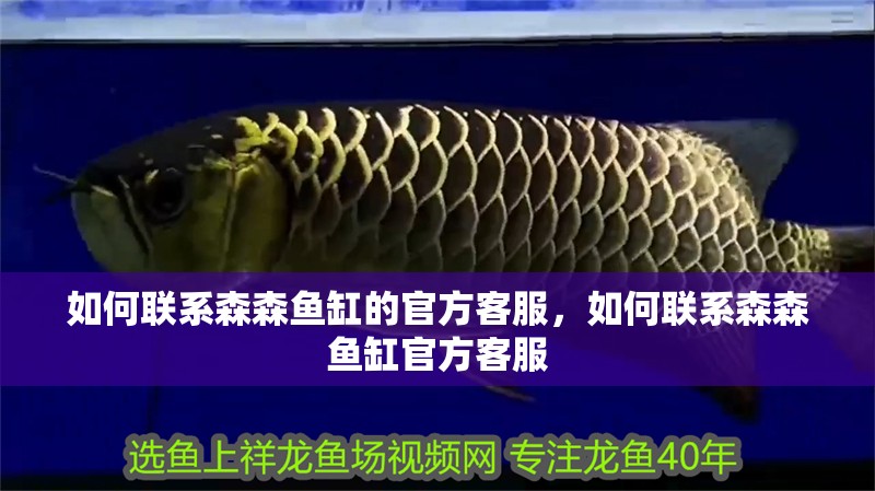 如何聯系森森魚缸的官方客服，如何聯系森森魚缸官方客服