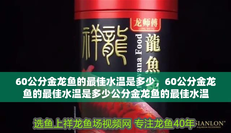 60公分金龍魚的最佳水溫是多少，60公分金龍魚的最佳水溫是多少公分金龍魚的最佳水溫