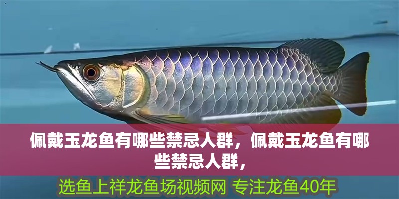 佩戴玉龍魚有哪些禁忌人群，佩戴玉龍魚有哪些禁忌人群，