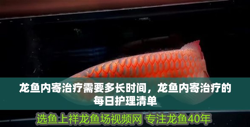 龍魚內寄治療需要多長時間，龍魚內寄治療的每日護理清單