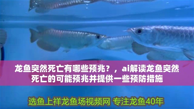 龍魚突然死亡有哪些預兆？，ai解讀龍魚突然死亡的可能預兆并提供一些預防措施