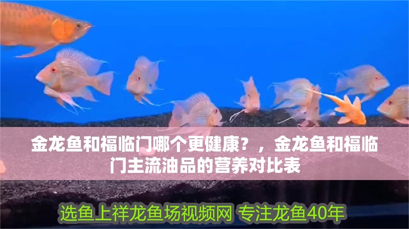 金龍魚和福臨門哪個更健康？，金龍魚和福臨門主流油品的營養(yǎng)對比表