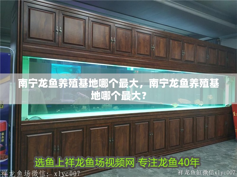 南寧龍魚養殖基地哪個最大，南寧龍魚養殖基地哪個最大？