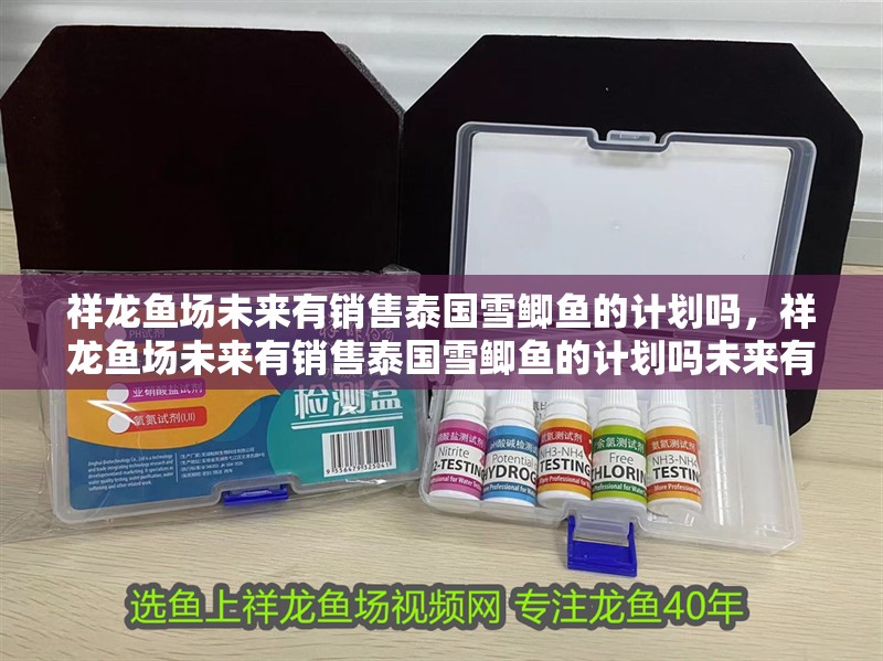 祥龍魚(yú)場(chǎng)未來(lái)有銷售泰國(guó)雪鯽魚(yú)的計(jì)劃嗎，祥龍魚(yú)場(chǎng)未來(lái)有銷售泰國(guó)雪鯽魚(yú)的計(jì)劃嗎未來(lái)有哪些新品種計(jì)劃