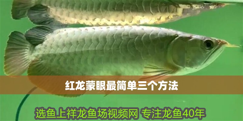 紅龍蒙眼最簡單三個方法