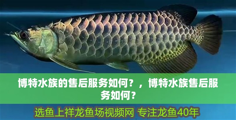 博特水族的售后服務(wù)如何？，博特水族售后服務(wù)如何？