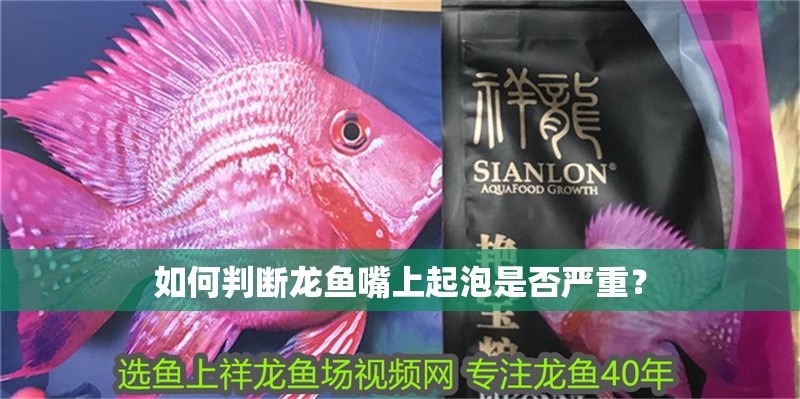 如何判斷龍魚嘴上起泡是否嚴重？