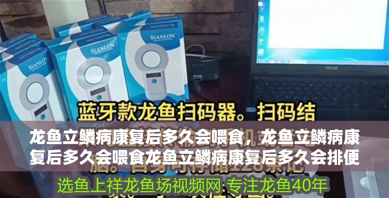 龍魚立鱗病康復后多久會喂食，龍魚立鱗病康復后多久會喂食龍魚立鱗病康復后多久會排便