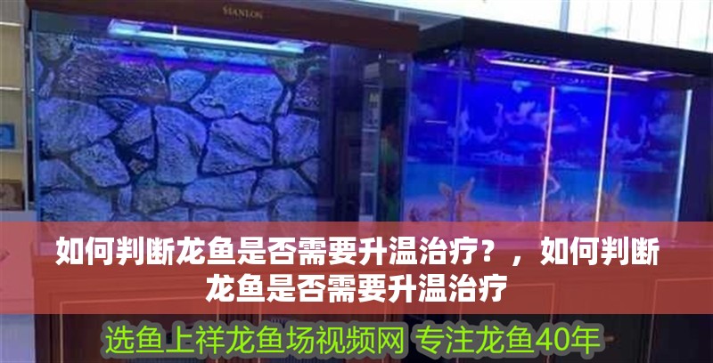 如何判斷龍魚是否需要升溫治療？，如何判斷龍魚是否需要升溫治療