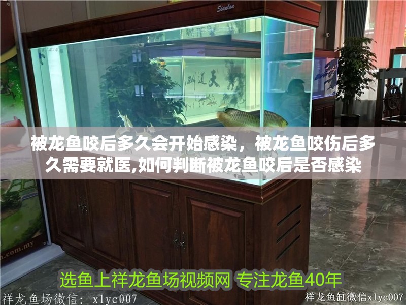 被龍魚咬后多久會開始感染，被龍魚咬傷后多久需要就醫,如何判斷被龍魚咬后是否感染
