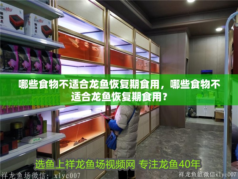哪些食物不適合龍魚恢復期食用，哪些食物不適合龍魚恢復期食用？