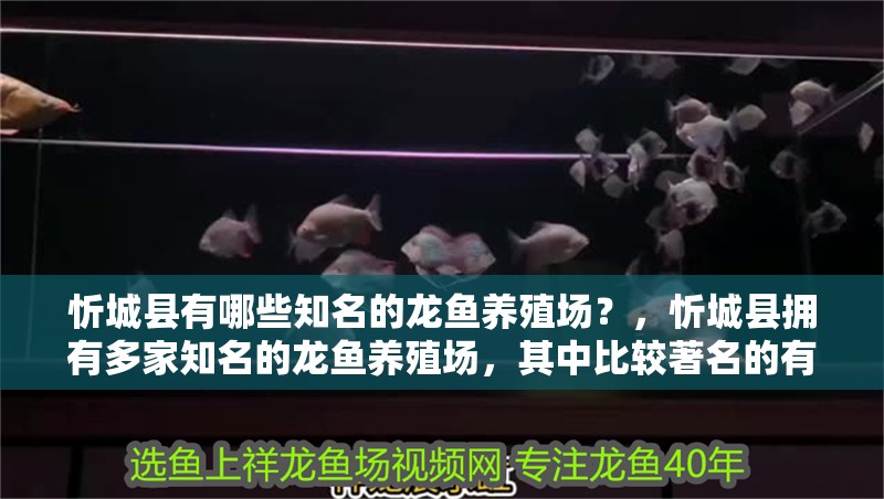 忻城縣有哪些知名的龍魚養殖場？，忻城縣擁有多家知名的龍魚養殖場，其中比較著名的有：