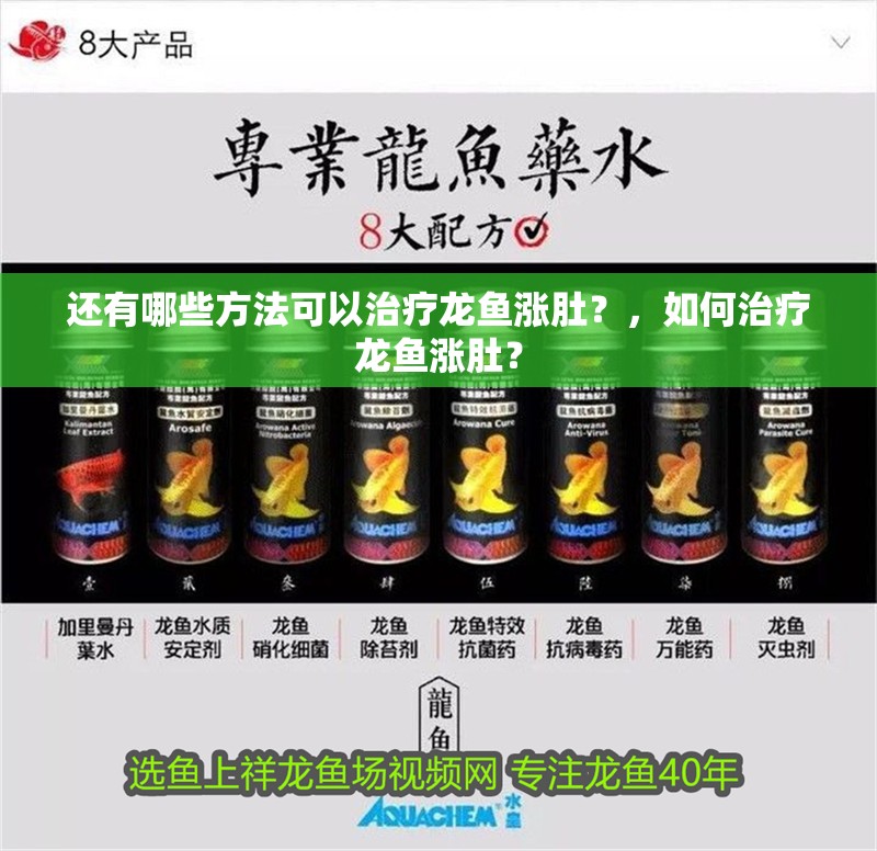 還有哪些方法可以治療龍魚漲肚？，如何治療龍魚漲肚？