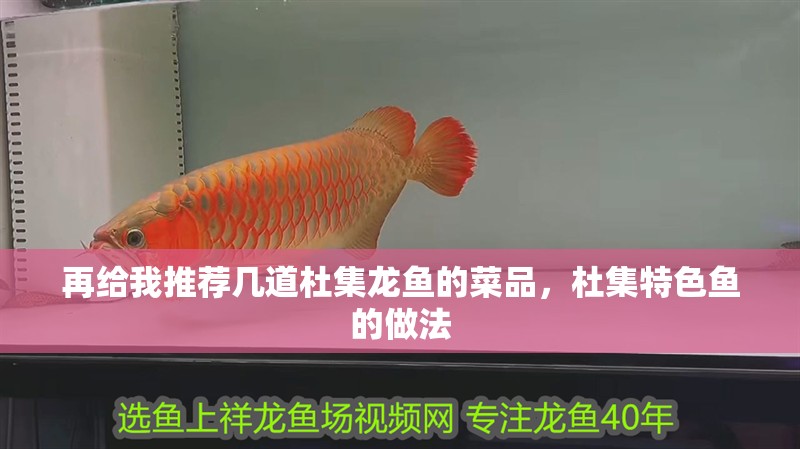 再給我推薦幾道杜集龍魚的菜品，杜集特色魚的做法