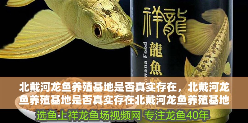 北戴河龍魚養殖基地是否真實存在，北戴河龍魚養殖基地是否真實存在北戴河龍魚養殖基地