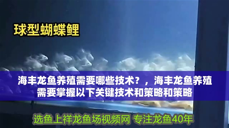 海豐龍魚養(yǎng)殖需要哪些技術(shù)？，海豐龍魚養(yǎng)殖需要掌握以下關(guān)鍵技術(shù)和策略和策略