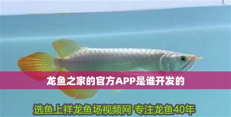 龍魚之家的官方APP是誰開發的