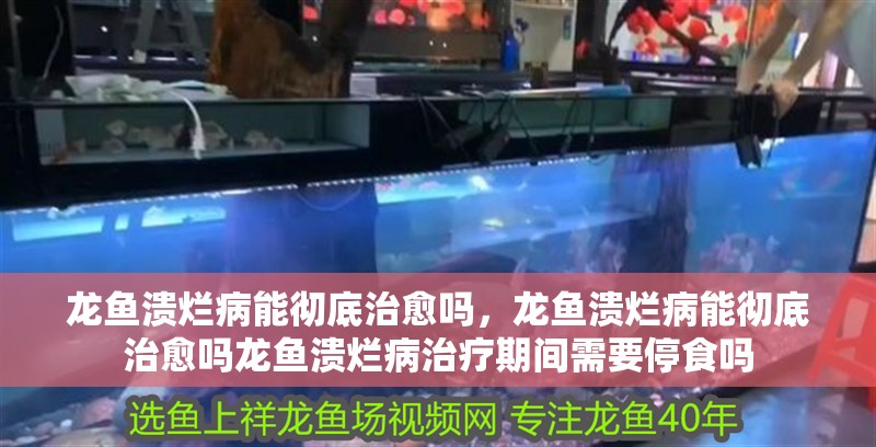龍魚潰爛病能徹底治愈嗎，龍魚潰爛病能徹底治愈嗎龍魚潰爛病治療期間需要停食嗎