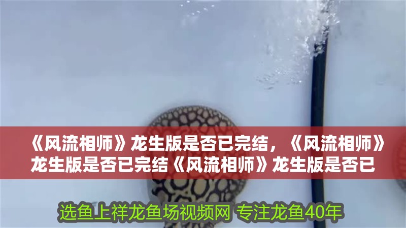 《風流相師》龍生版是否已完結，《風流相師》龍生版是否已完結《風流相師》龍生版是否已完結