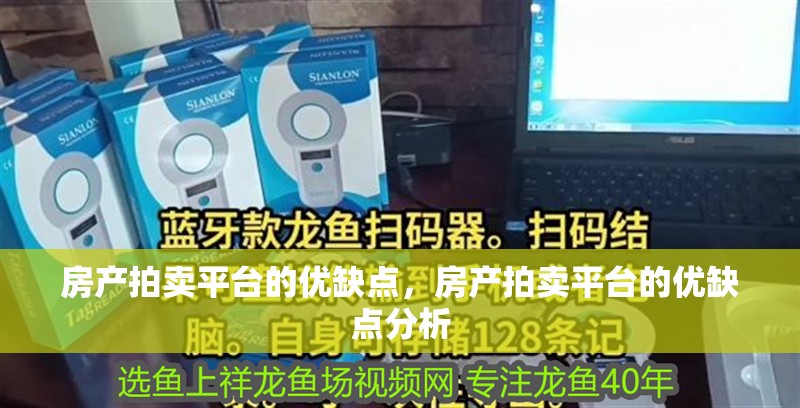 房產拍賣平臺的優缺點，房產拍賣平臺的優缺點分析