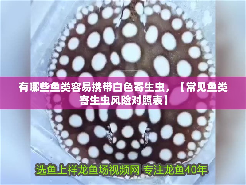 有哪些魚類容易攜帶白色寄生蟲，【常見魚類寄生蟲風險對照表】