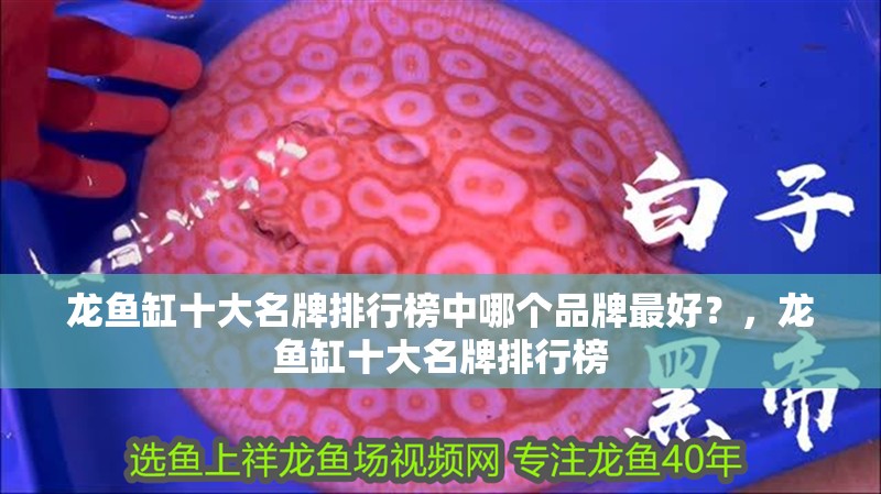 龍魚缸十大名牌排行榜中哪個品牌最好？，龍魚缸十大名牌排行榜