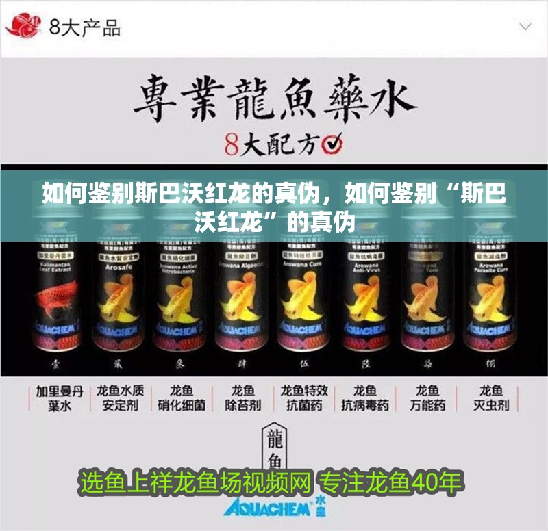 如何鑒別斯巴沃紅龍的真偽，如何鑒別“斯巴沃紅龍”的真偽