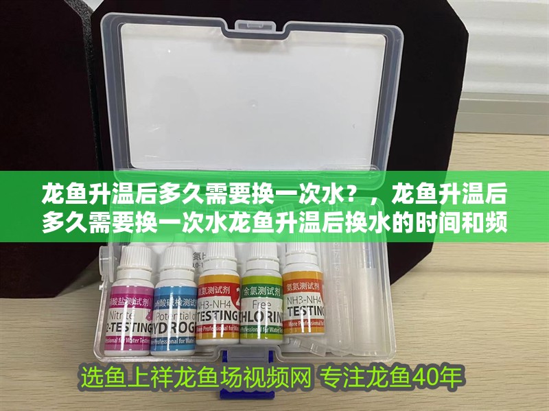 龍魚升溫后多久需要換一次水？，龍魚升溫后多久需要換一次水龍魚升溫后換水的時(shí)間和頻率