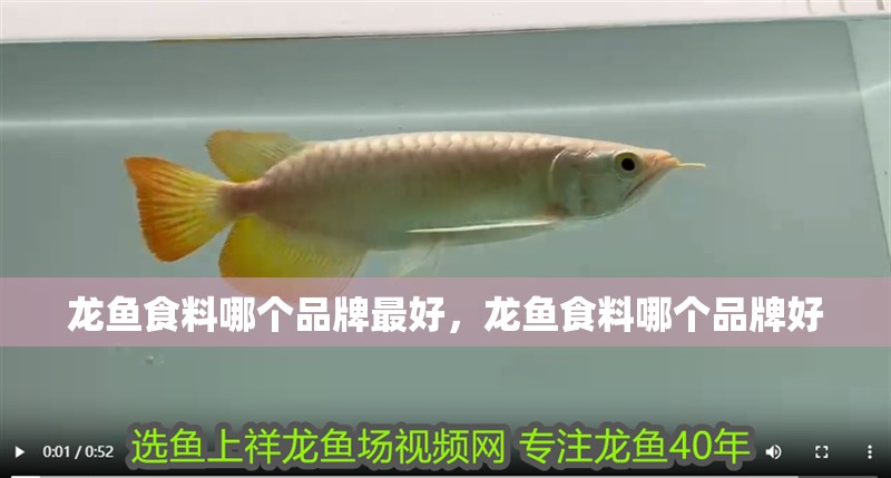 龍魚食料哪個品牌最好，龍魚食料哪個品牌好