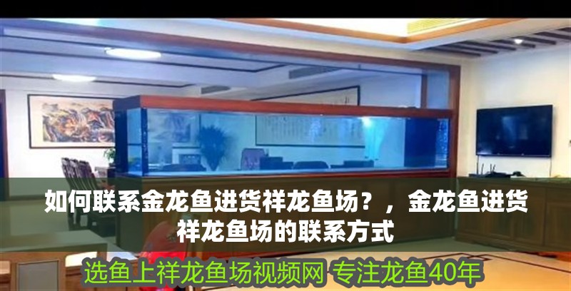 如何聯系金龍魚進貨祥龍魚場？，金龍魚進貨祥龍魚場的聯系方式