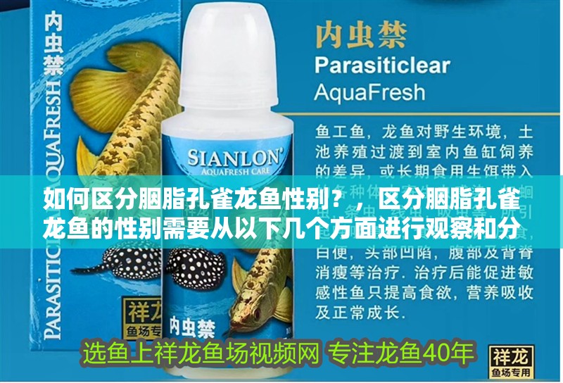 如何區(qū)分胭脂孔雀龍魚(yú)性別？，區(qū)分胭脂孔雀龍魚(yú)的性別需要從以下幾個(gè)方面進(jìn)行觀察和分析