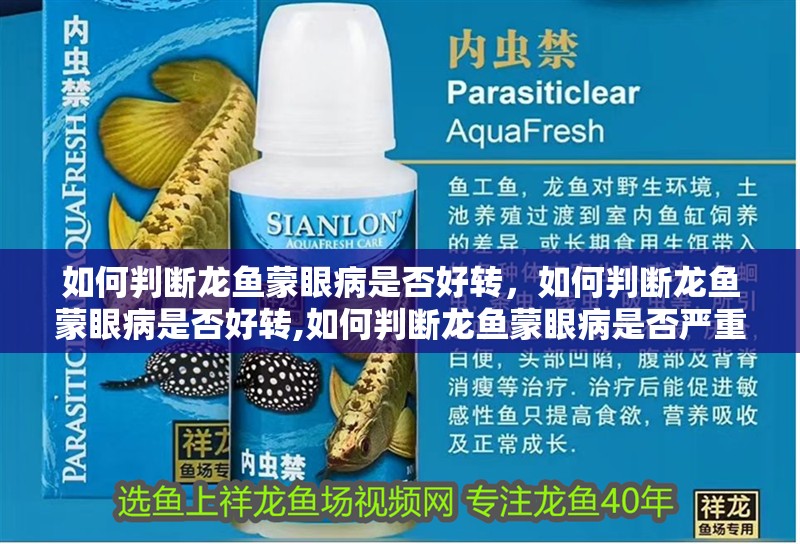 如何判斷龍魚蒙眼病是否好轉(zhuǎn)，如何判斷龍魚蒙眼病是否好轉(zhuǎn),如何判斷龍魚蒙眼病是否嚴(yán)重