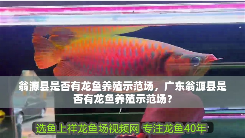 翁源縣是否有龍魚養殖示范場，廣東翁源縣是否有龍魚養殖示范場？