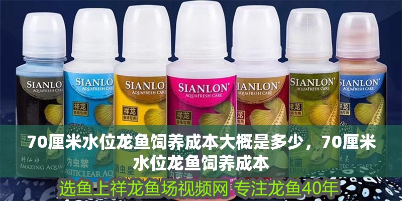 70厘米水位龍魚飼養(yǎng)成本大概是多少，70厘米水位龍魚飼養(yǎng)成本