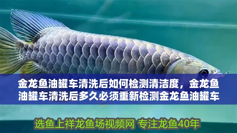 金龍魚油罐車清洗后如何檢測清潔度，金龍魚油罐車清洗后多久必須重新檢測金龍魚油罐車清潔度
