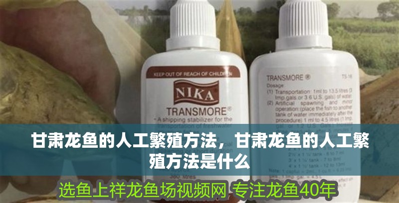 甘肅龍魚的人工繁殖方法，甘肅龍魚的人工繁殖方法是什么