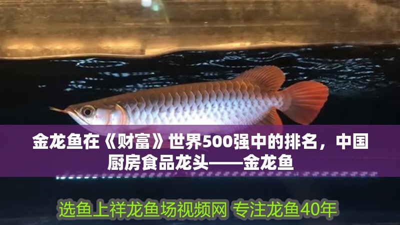 金龍魚(yú)在《財(cái)富》世界500強(qiáng)中的排名，中國(guó)廚房食品龍頭——金龍魚(yú)