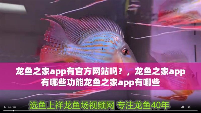 龍魚之家app有官方網站嗎？，龍魚之家app有哪些功能龍魚之家app有哪些
