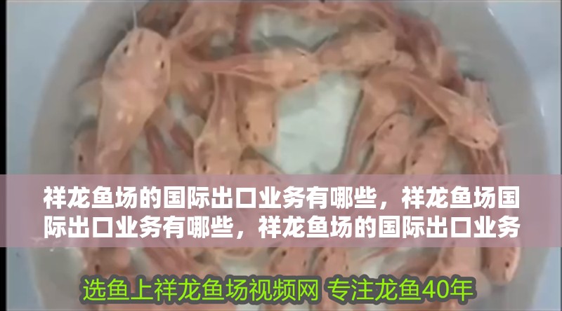 祥龍魚場的國際出口業務有哪些，祥龍魚場國際出口業務有哪些，祥龍魚場的國際出口業務有哪些