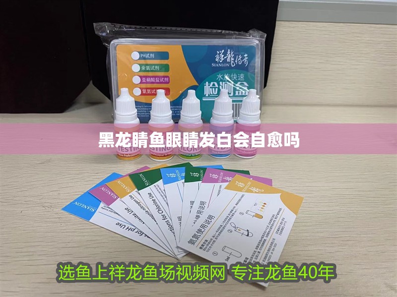 黑龍睛魚眼睛發白會自愈嗎