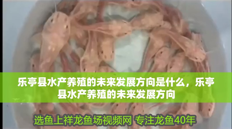 樂亭縣水產養殖的未來發展方向是什么，樂亭縣水產養殖的未來發展方向