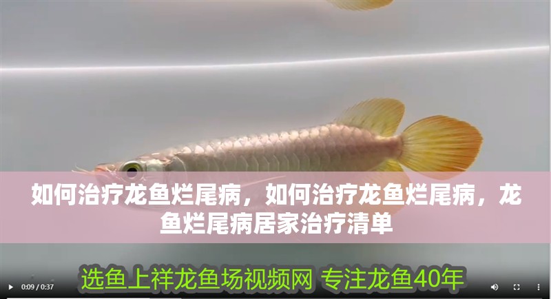 如何治療龍魚爛尾病，如何治療龍魚爛尾病，龍魚爛尾病居家治療清單