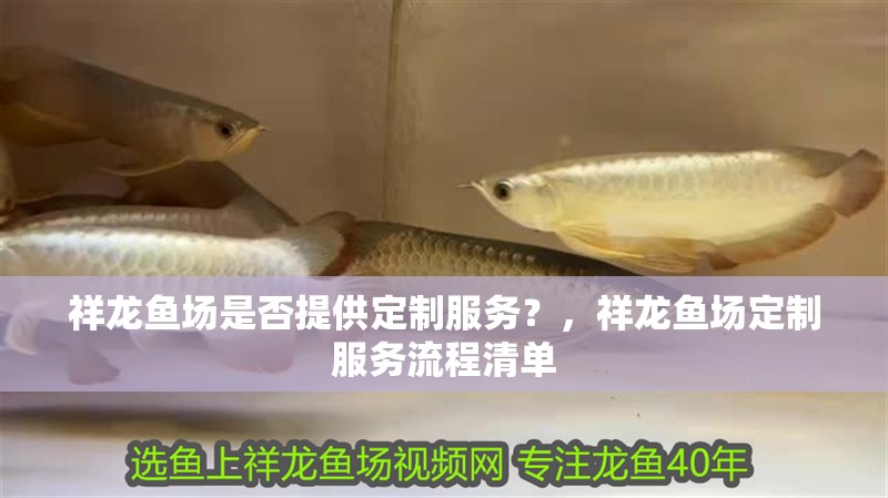 祥龍魚場是否提供定制服務？，祥龍魚場定制服務流程清單